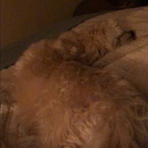 Meet your Posher, Linda